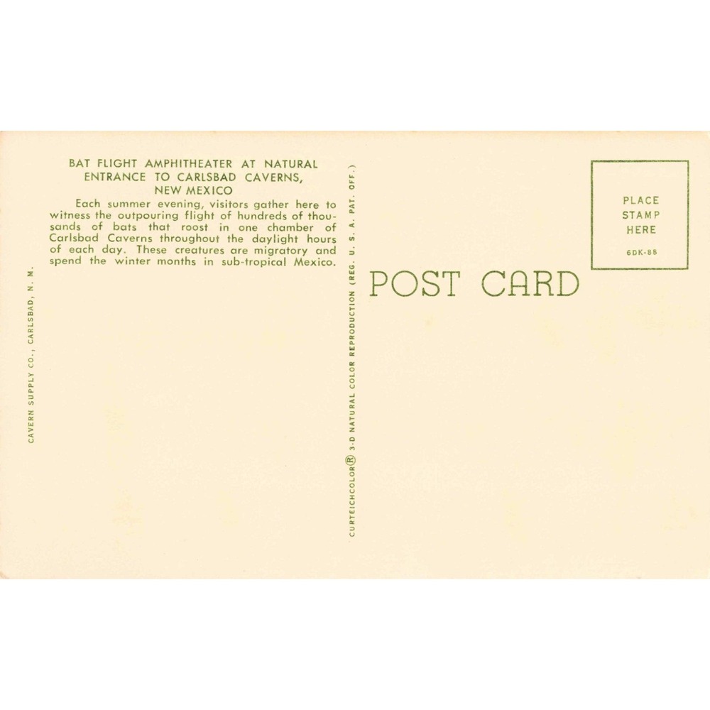 Vintage Carlsbad Caverns Bat Flight Amphitheater New Mexico Postcard Curteich - Picture 2 of 2